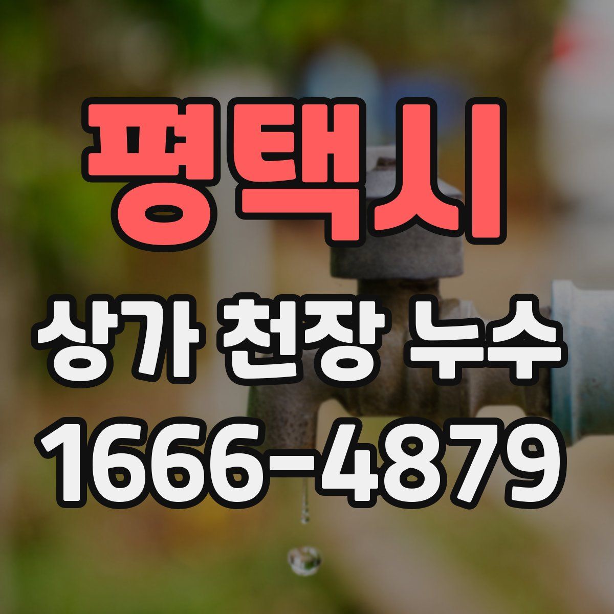 평택시 상가 천장 누수
