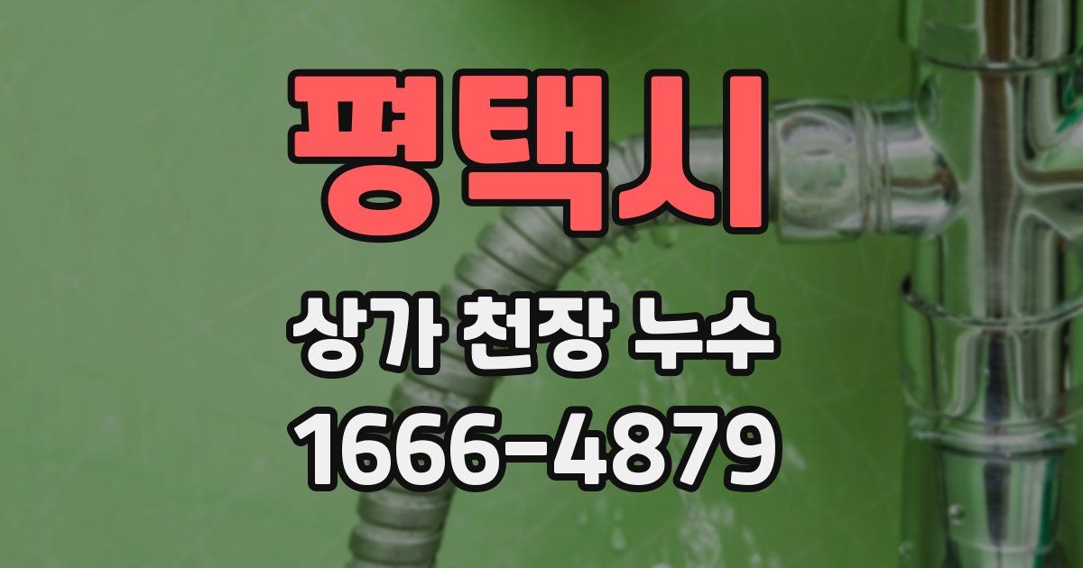 평택시 상가 천장 누수