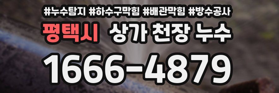 평택시 상가 천장 누수