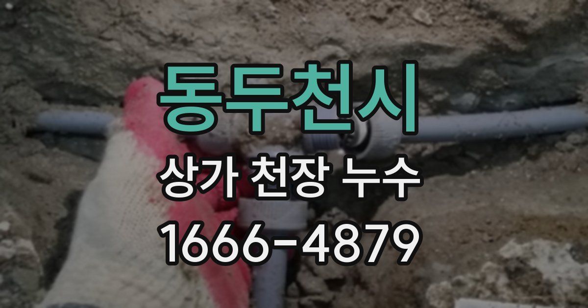 동두천시 상가 천장 누수