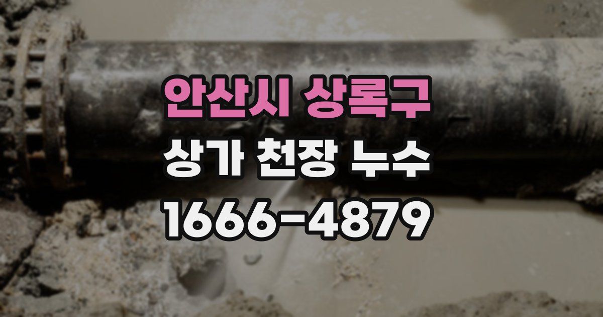 안산시 상록구 상가 천장 누수