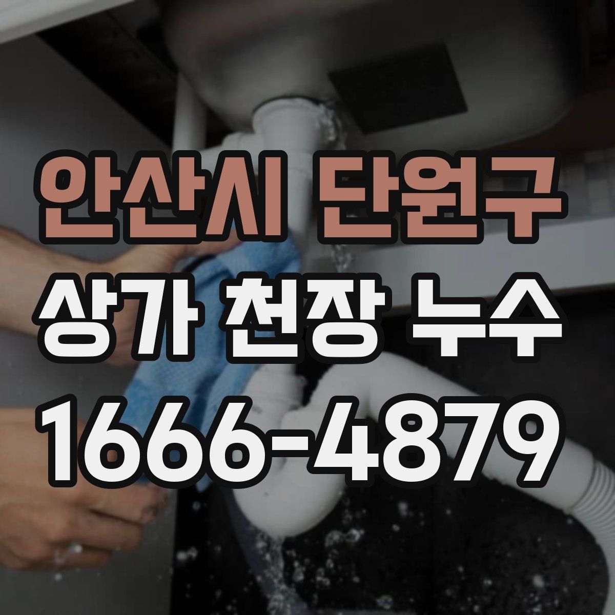 안산시 단원구 상가 천장 누수