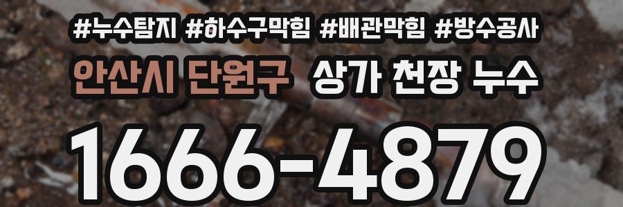 안산시 단원구 상가 천장 누수