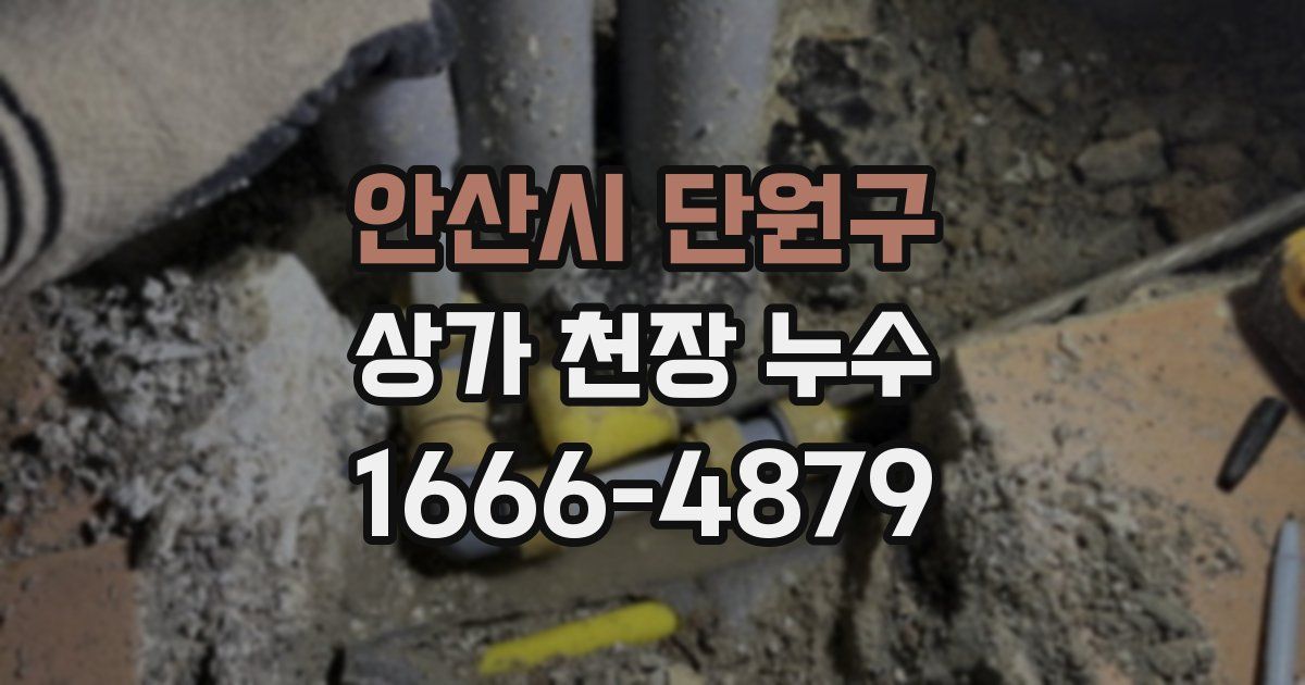 안산시 단원구 상가 천장 누수