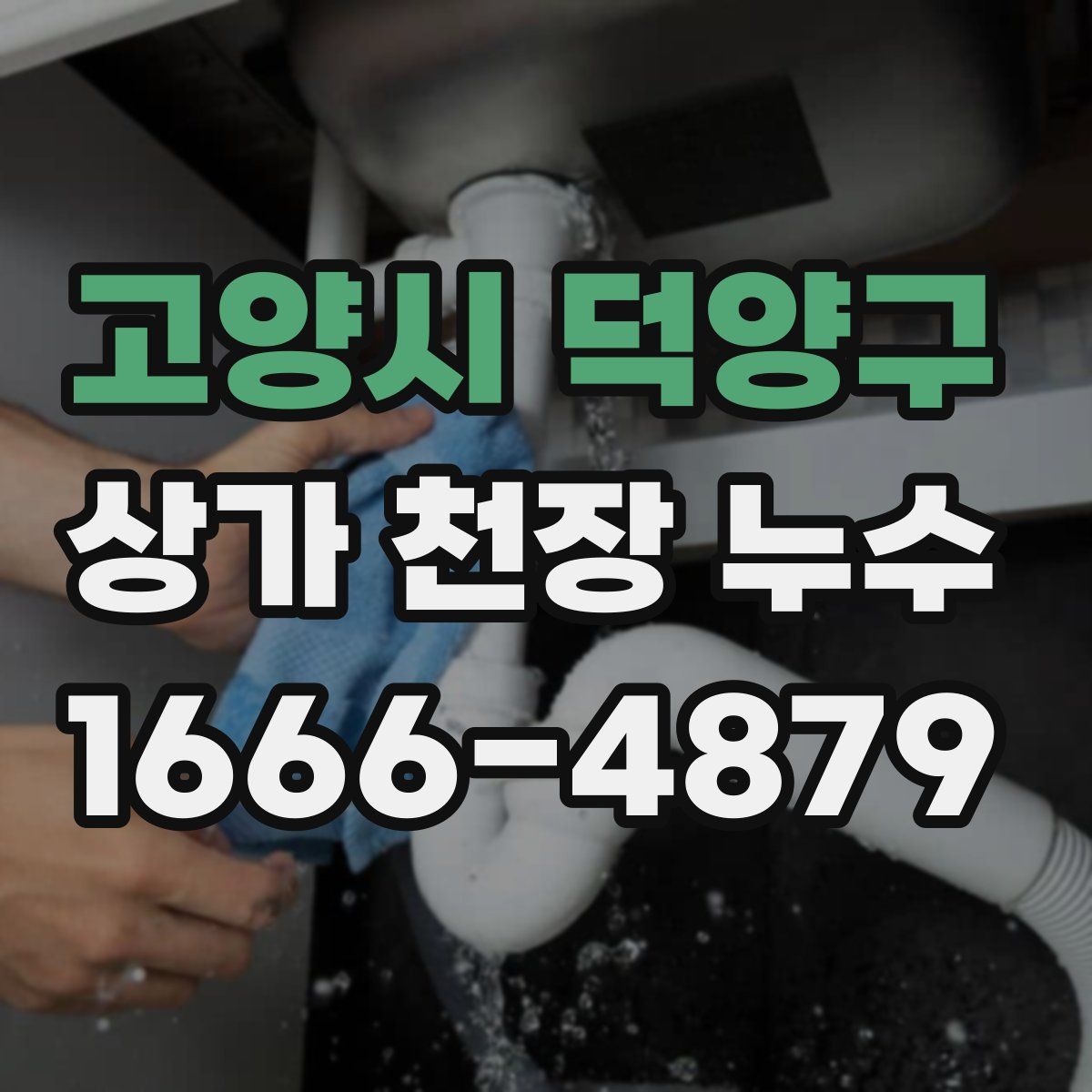고양시 덕양구 상가 천장 누수