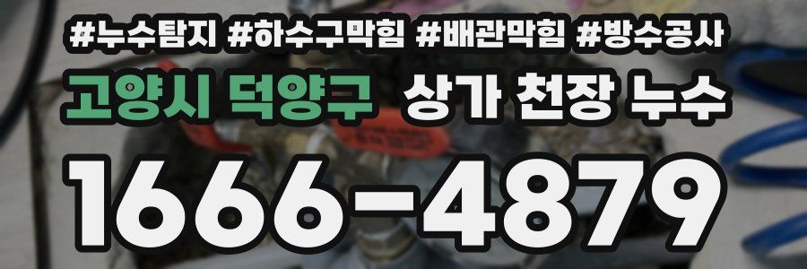 고양시 덕양구 상가 천장 누수