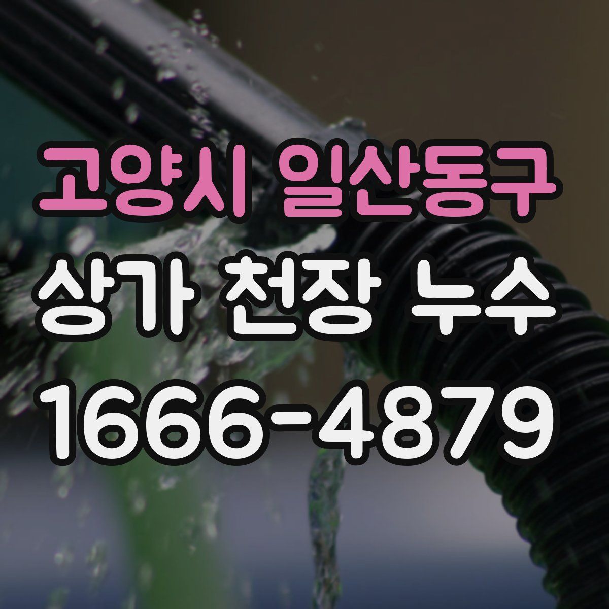 고양시 일산동구 상가 천장 누수
