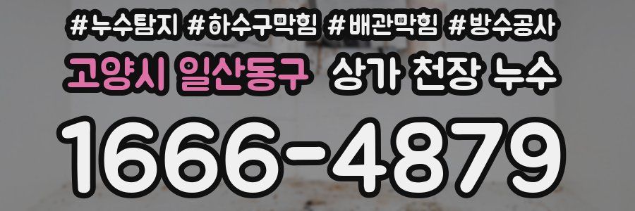 고양시 일산동구 상가 천장 누수