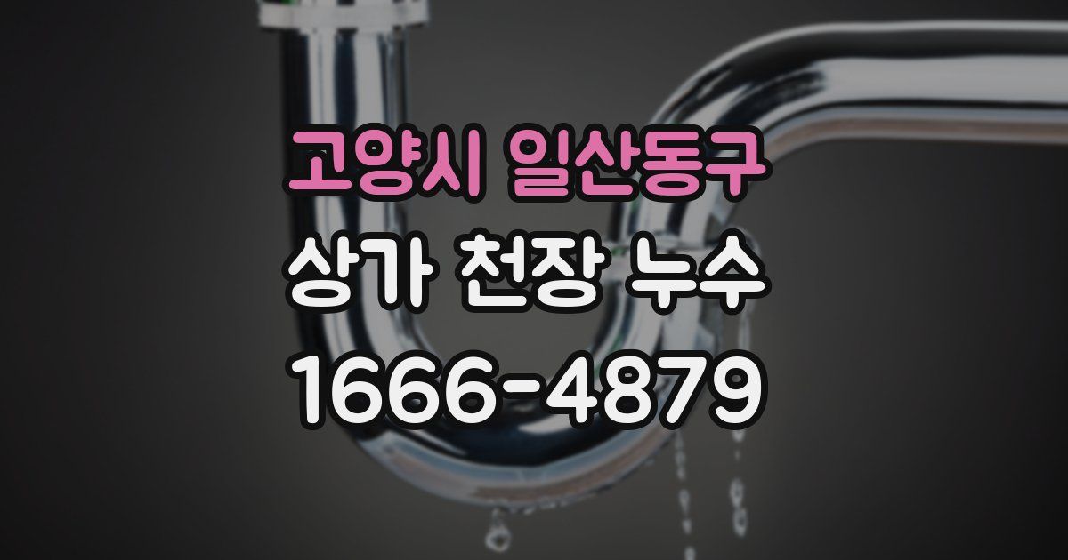고양시 일산동구 상가 천장 누수
