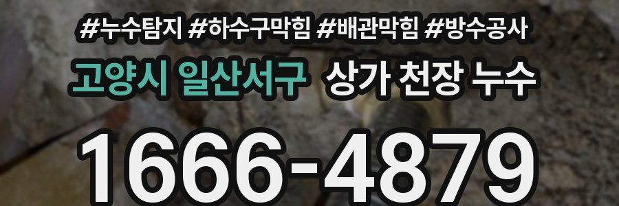고양시 일산서구 상가 천장 누수