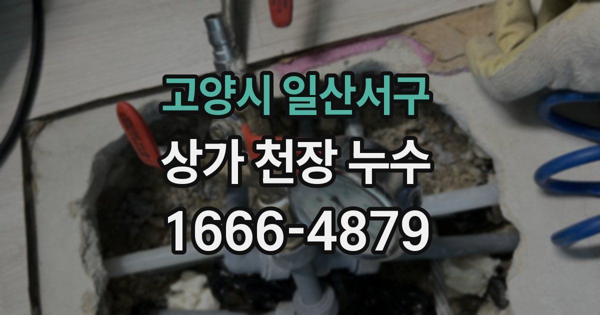 고양시 일산서구 상가 천장 누수