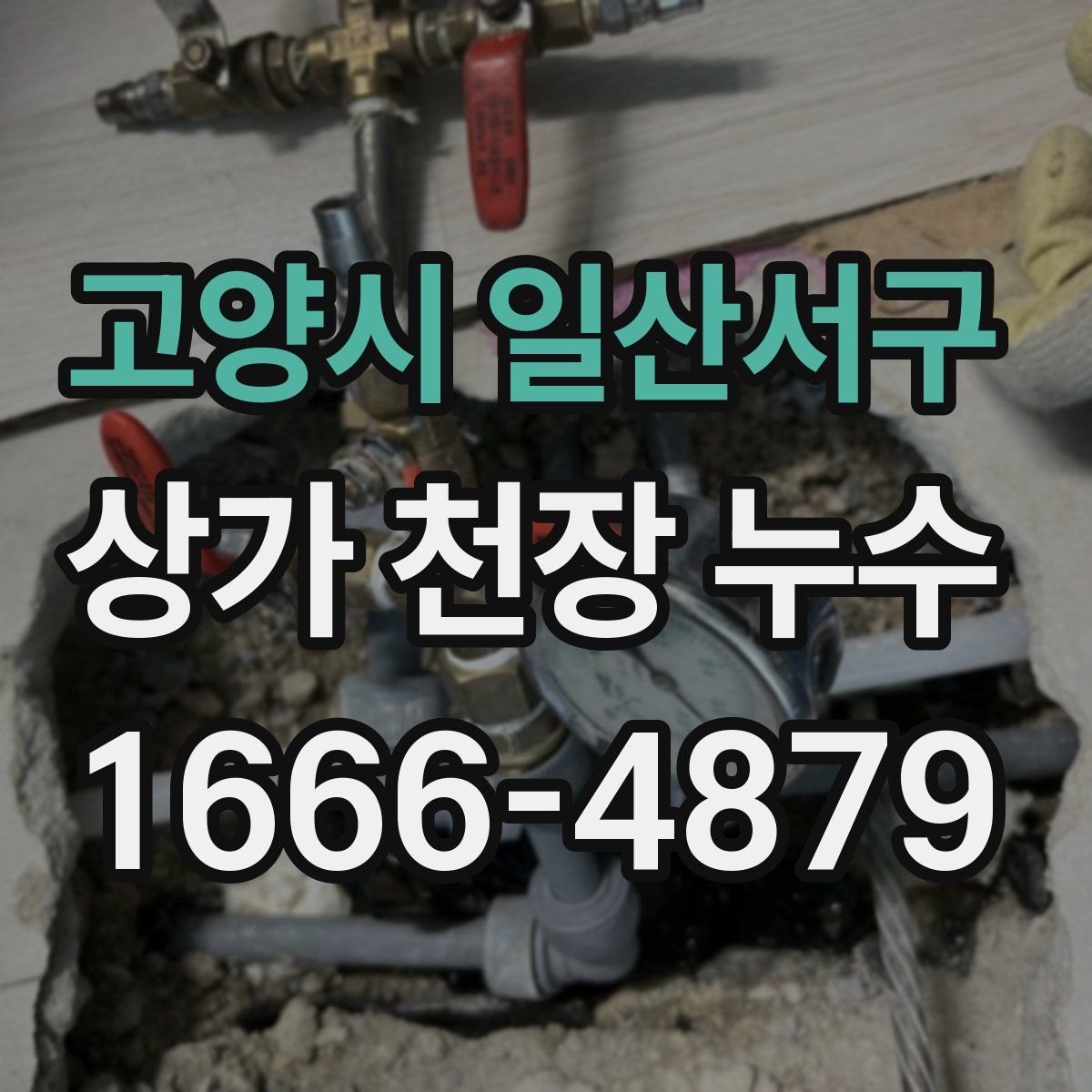 고양시 일산서구 상가 천장 누수