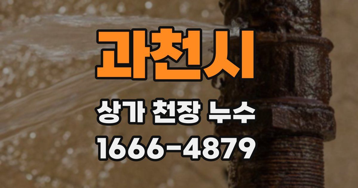 과천시 상가 천장 누수