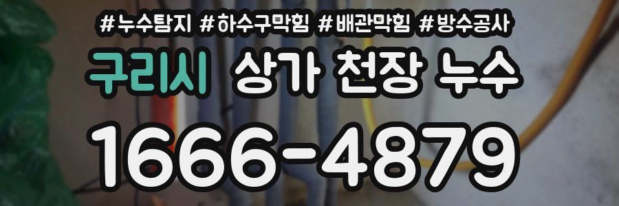 구리시 상가 천장 누수
