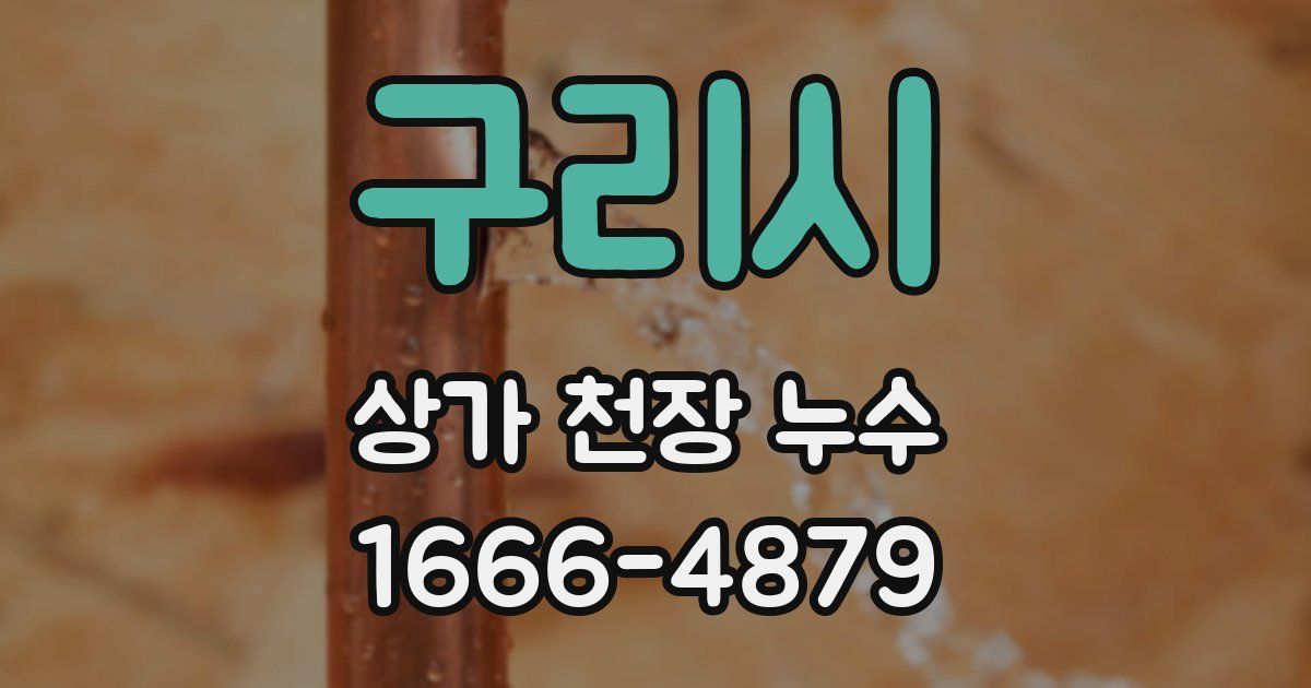구리시 상가 천장 누수