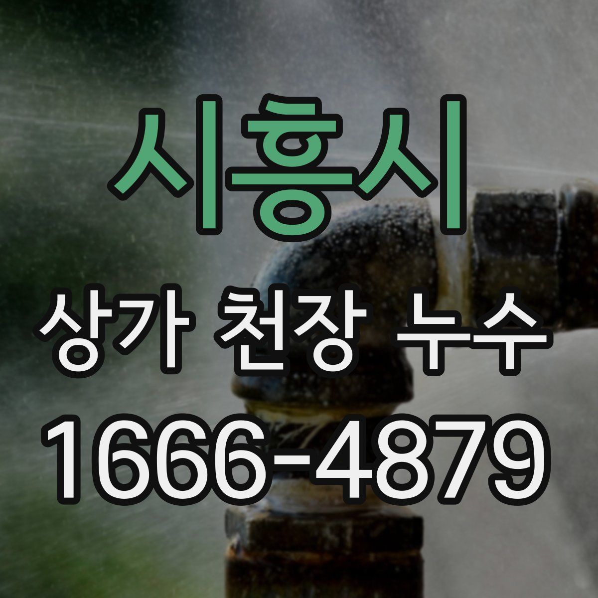 시흥시 상가 천장 누수