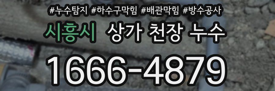 시흥시 상가 천장 누수
