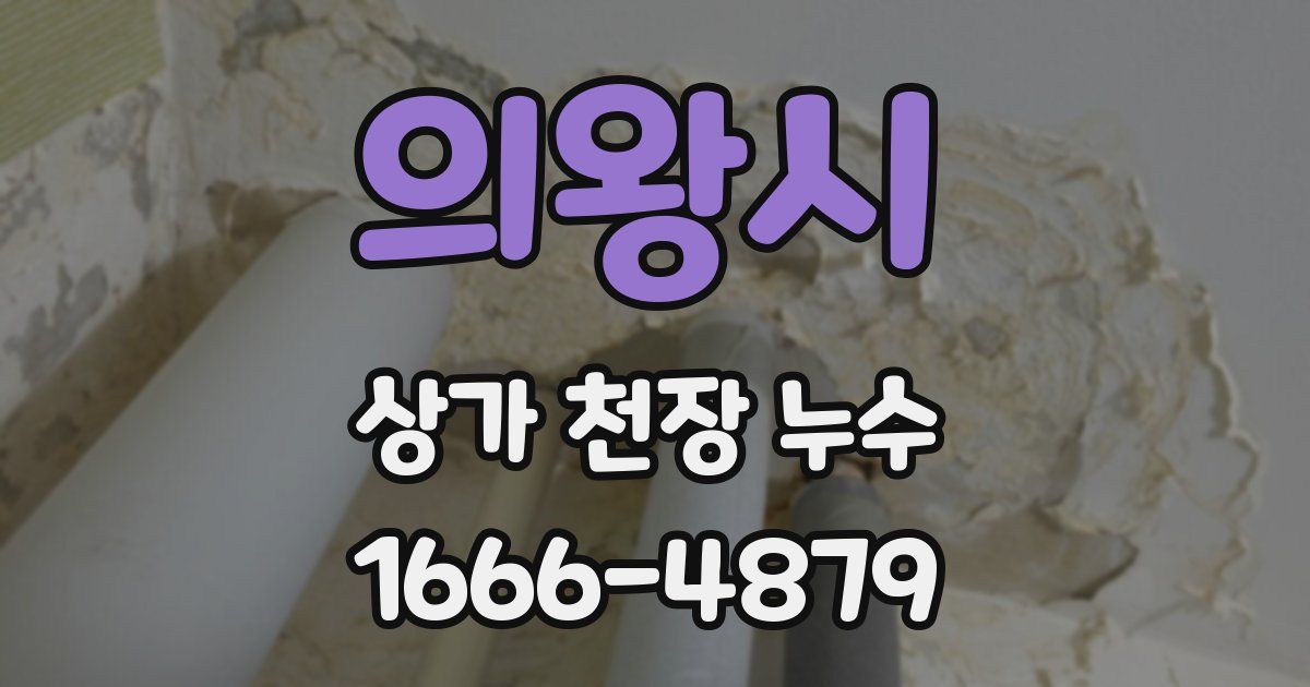 의왕시 상가 천장 누수