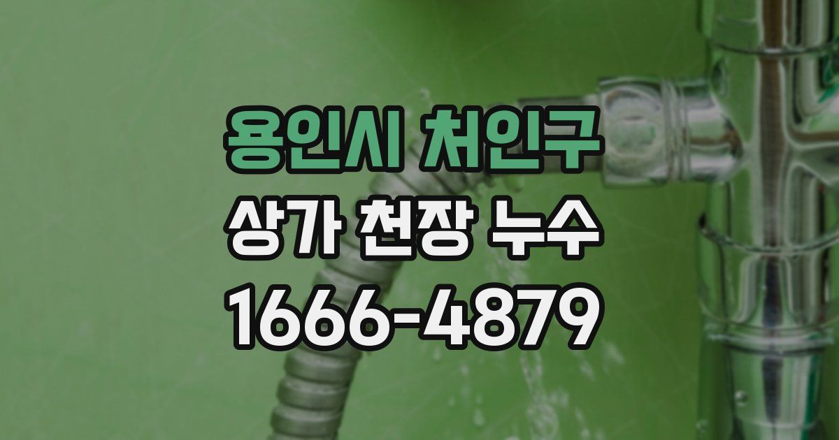 용인시 처인구 상가 천장 누수