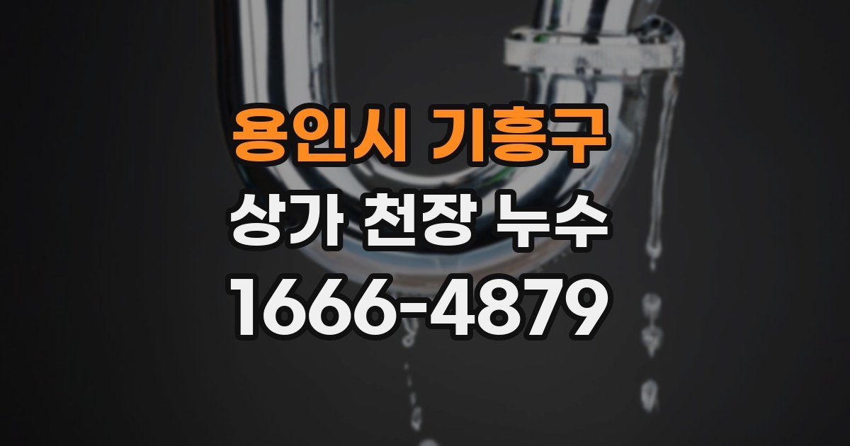 용인시 기흥구 상가 천장 누수