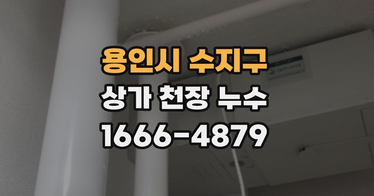 용인시 수지구 상가 천장 누수