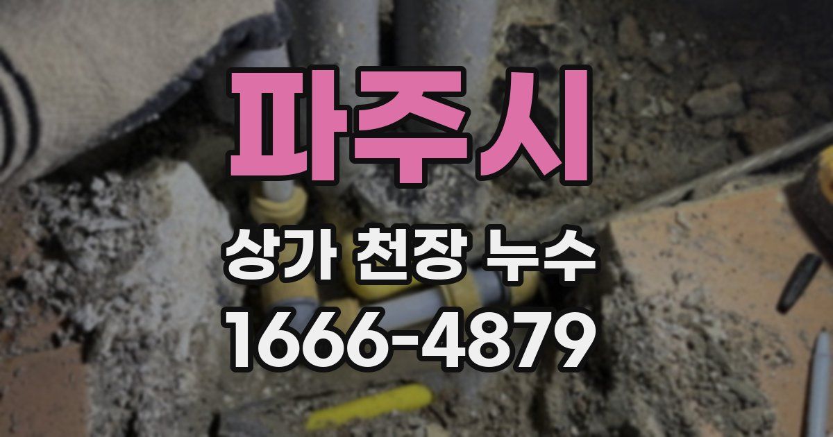 파주시 상가 천장 누수