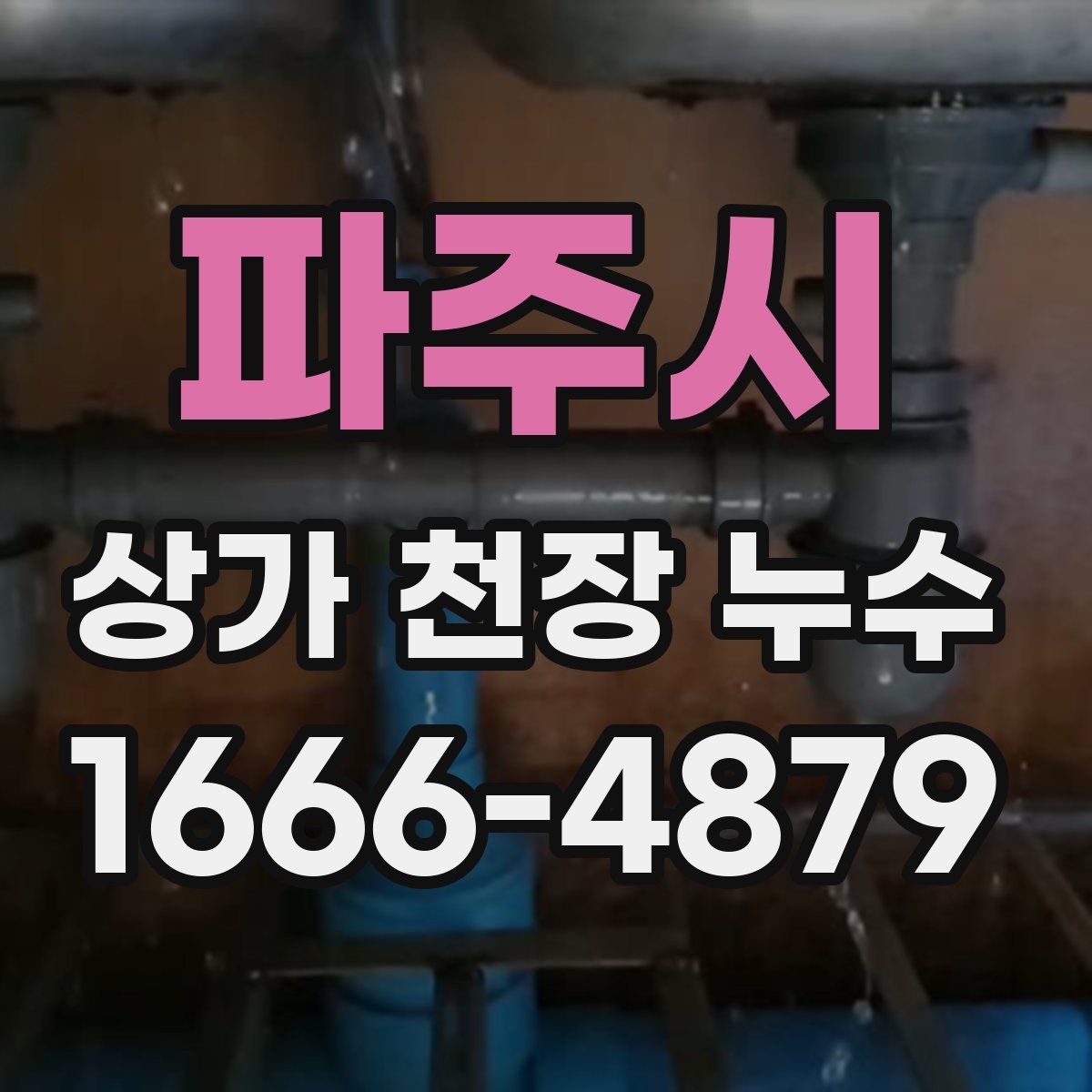 파주시 상가 천장 누수