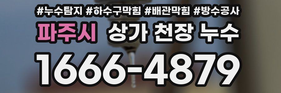 파주시 상가 천장 누수