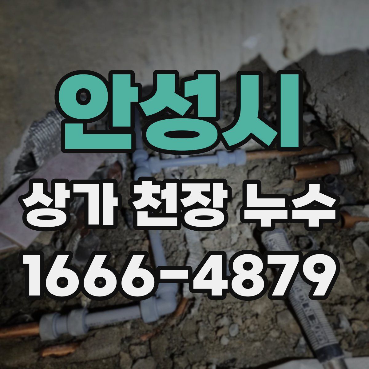 안성시 상가 천장 누수