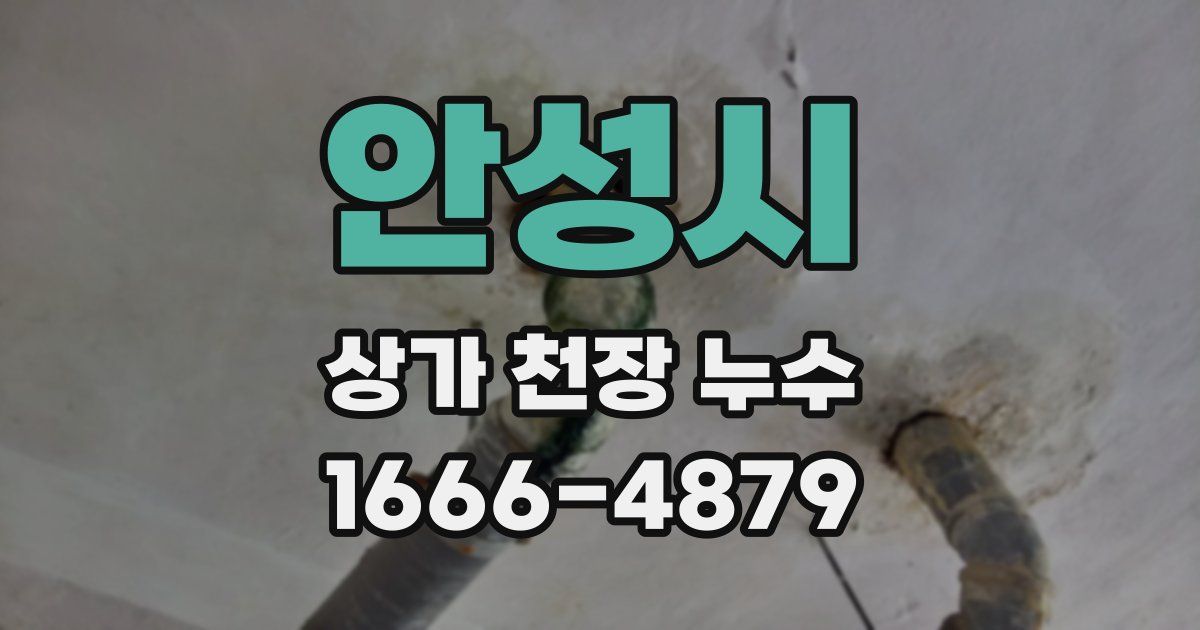안성시 상가 천장 누수