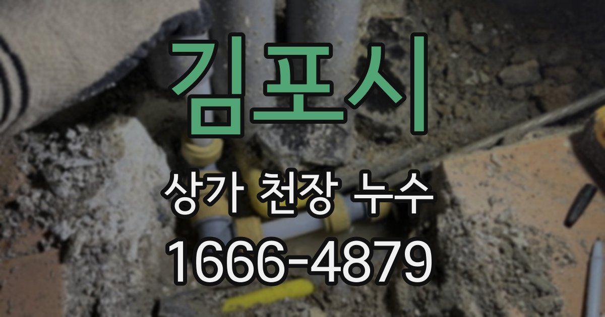 김포시 상가 천장 누수
