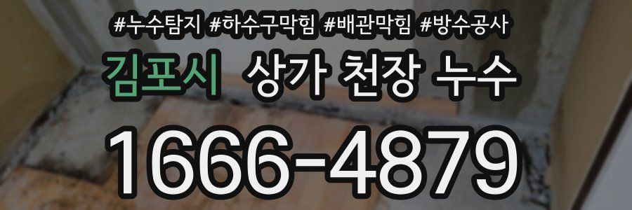 김포시 상가 천장 누수