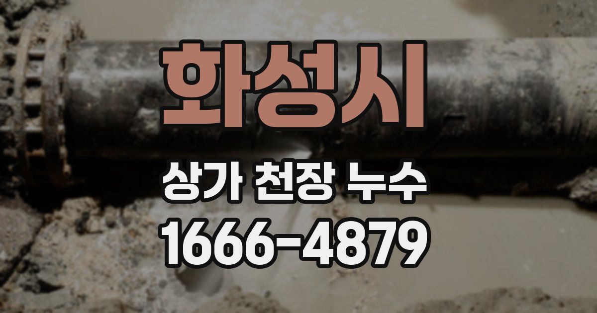 화성시 상가 천장 누수
