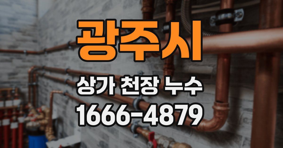 광주시 상가 천장 누수