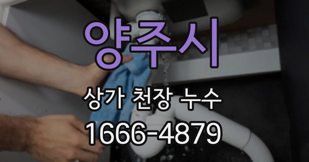 양주시 상가 천장 누수