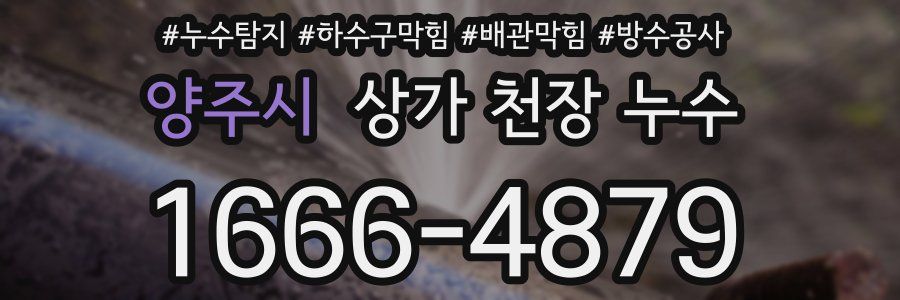 양주시 상가 천장 누수