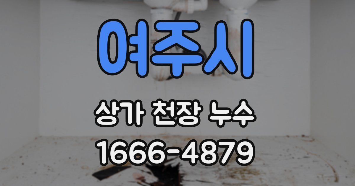 여주시 상가 천장 누수