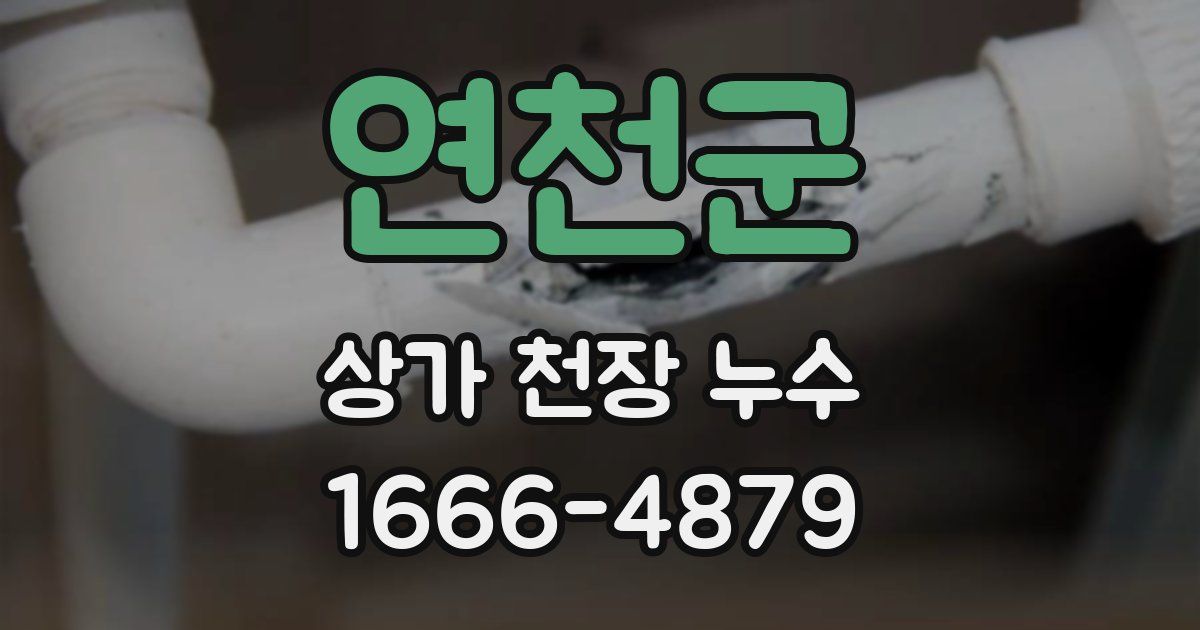 연천군 상가 천장 누수