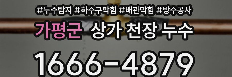 가평군 상가 천장 누수