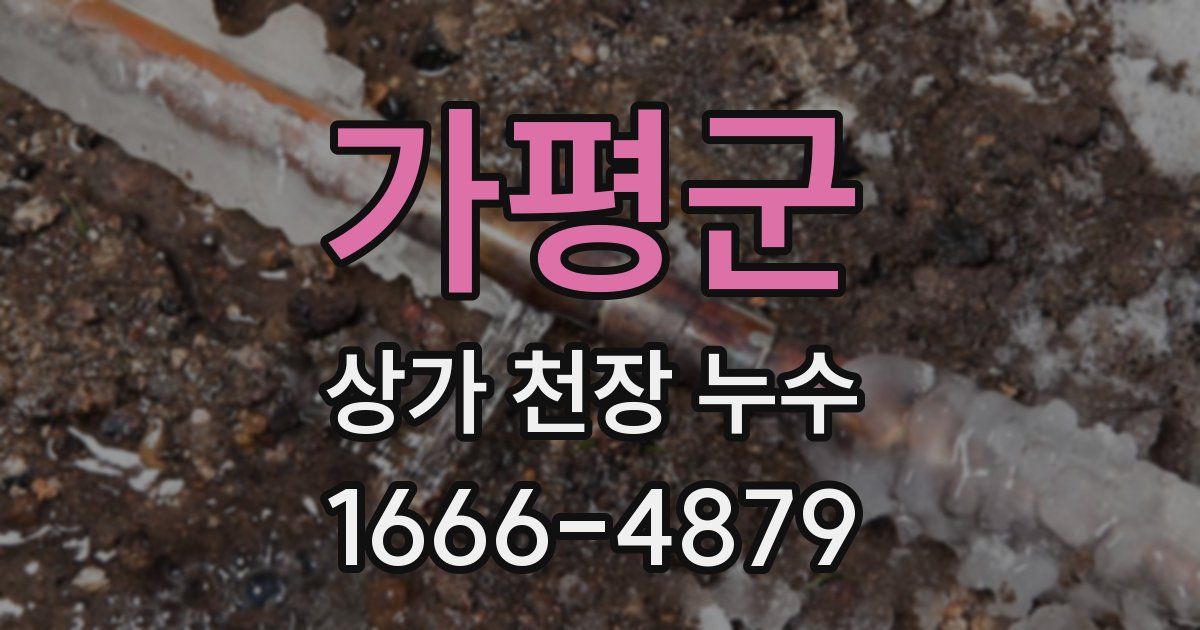 가평군 상가 천장 누수