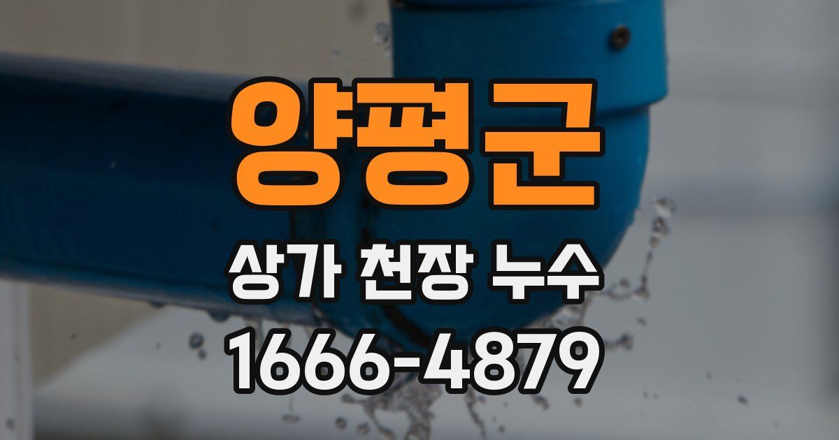 양평군 상가 천장 누수