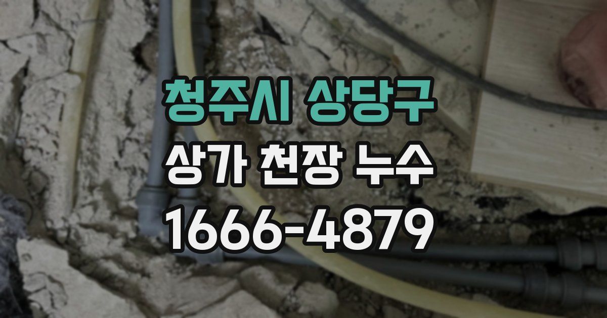 청주시 상당구 상가 천장 누수