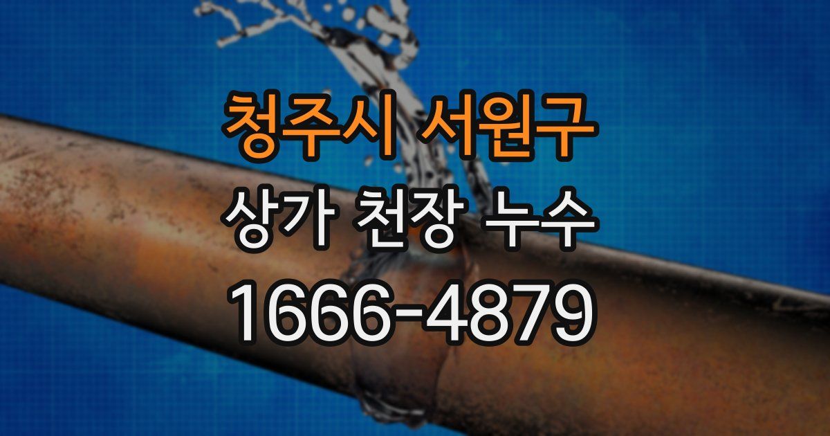 청주시 서원구 상가 천장 누수