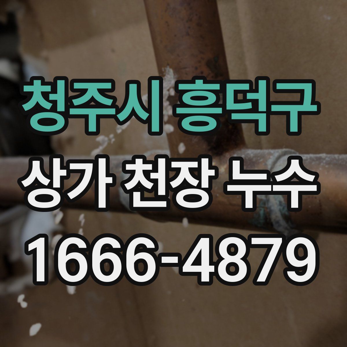 청주시 흥덕구 상가 천장 누수