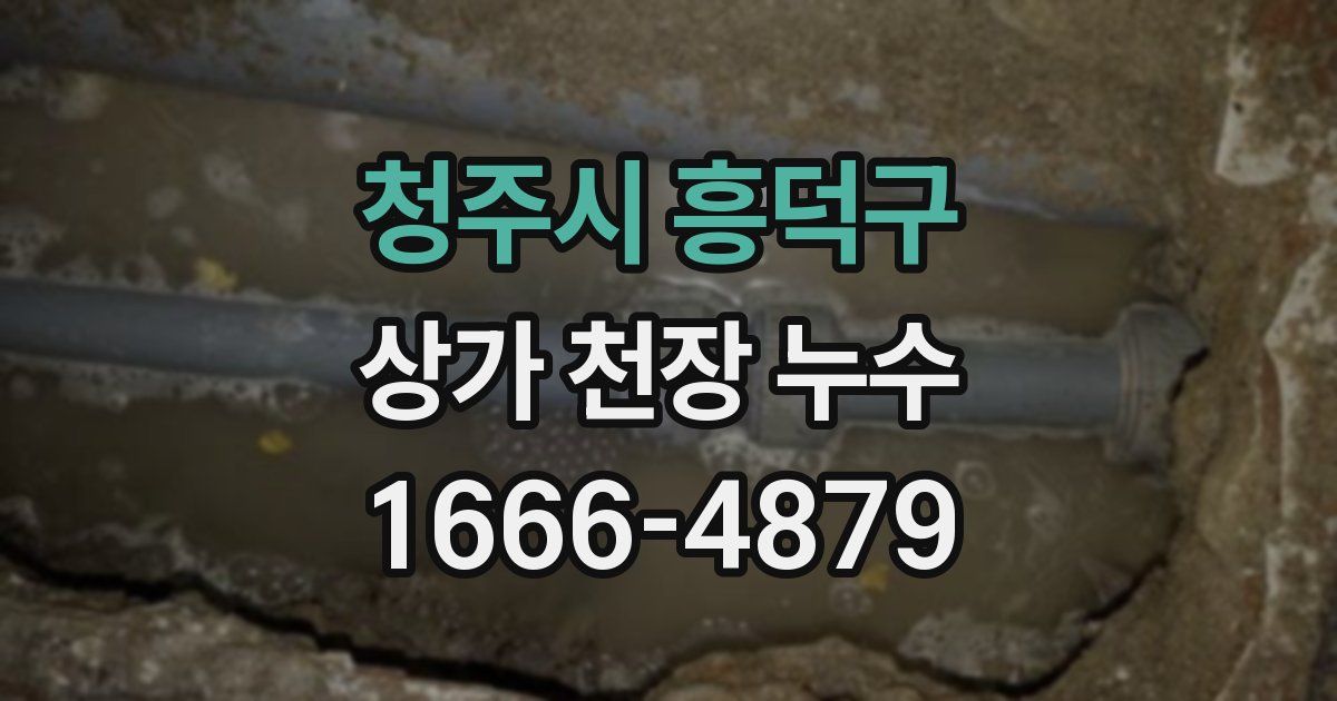 청주시 흥덕구 상가 천장 누수