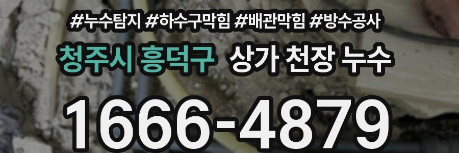 청주시 흥덕구 상가 천장 누수