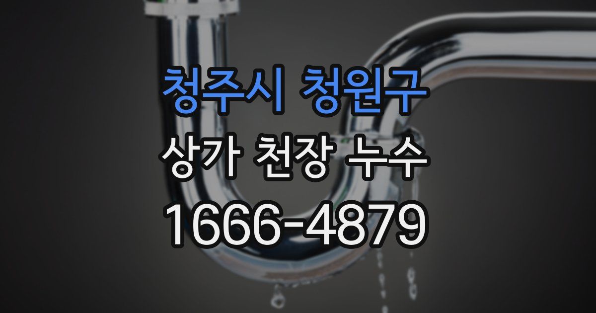 청주시 청원구 상가 천장 누수