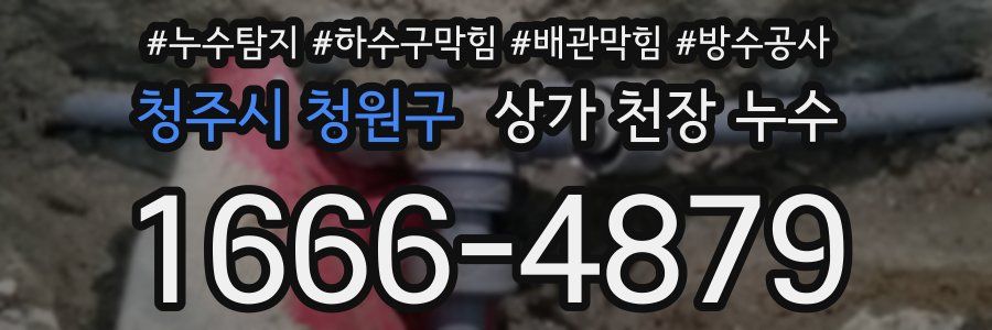 청주시 청원구 상가 천장 누수