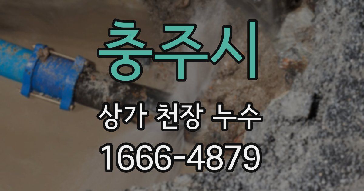 충주시 상가 천장 누수