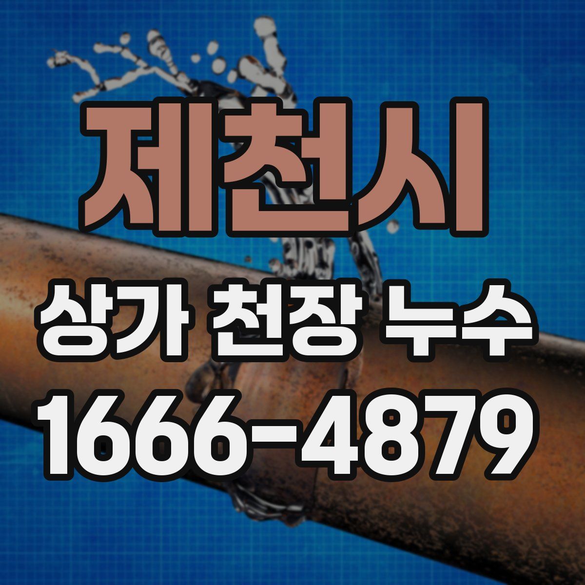 제천시 상가 천장 누수